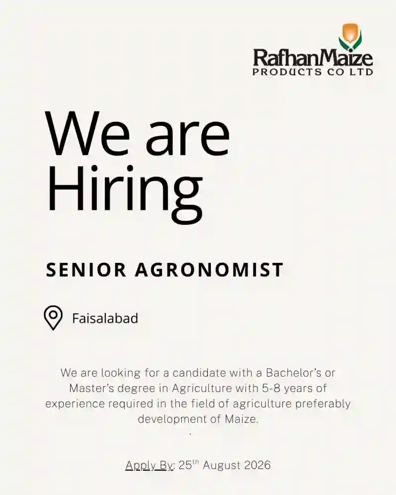 Rafhan Maize Jobs 2026 Faisalabad – Apply Online for Senior Agronomist
