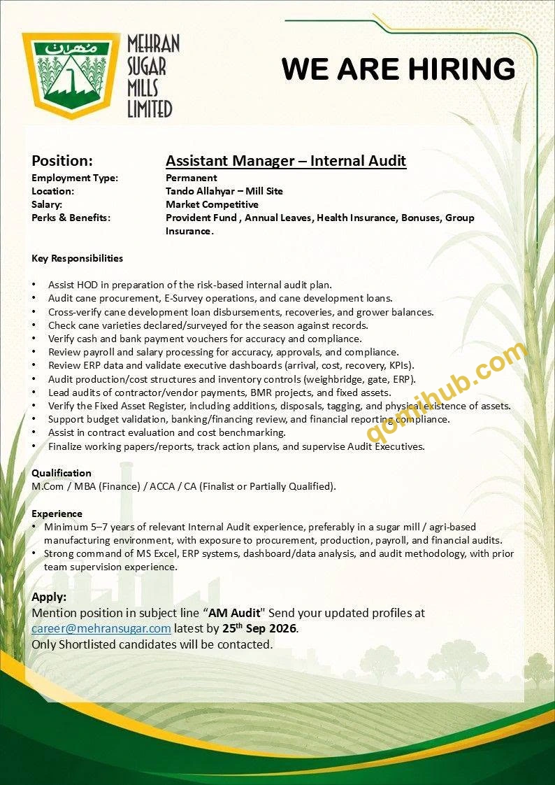 Mehran Sugar Mills Ltd Is Looking Assistant Manager Internal Audit Jobs 2026